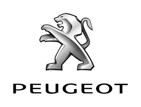 Obchodní výsledky Peugeot 2020: nezapomenutelný rok