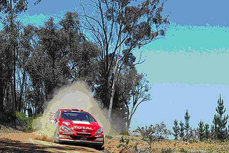 Peugeot na závěrečném podniku MS 2004 - Australské rallye (11. – 14. 11. 2004)